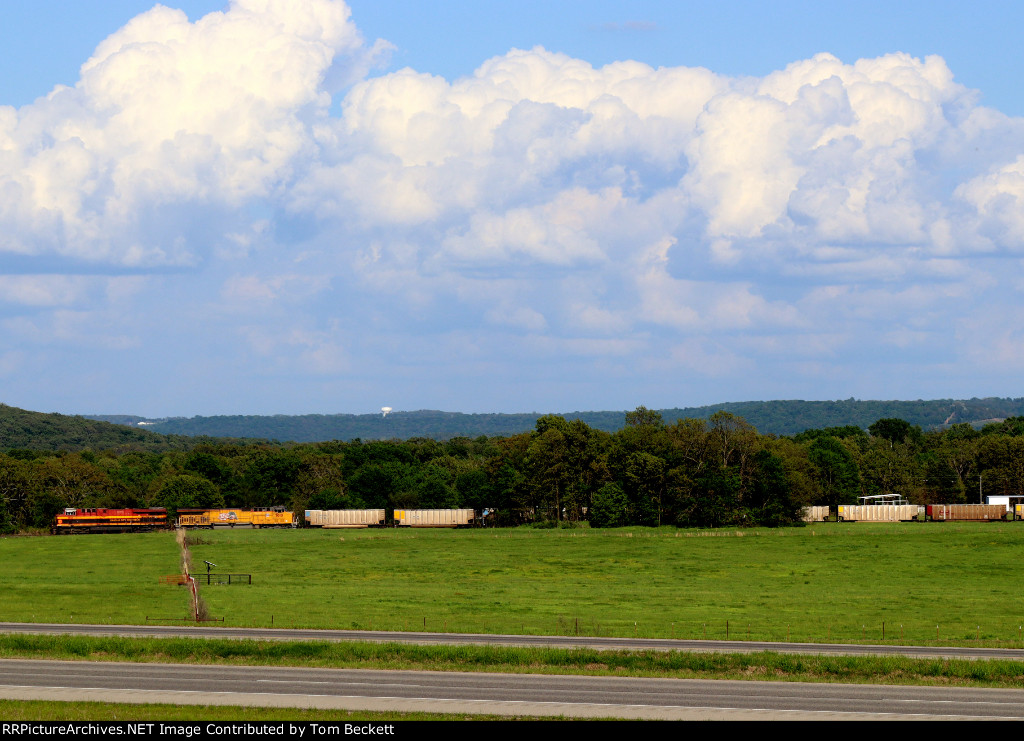 Looking down the fence line